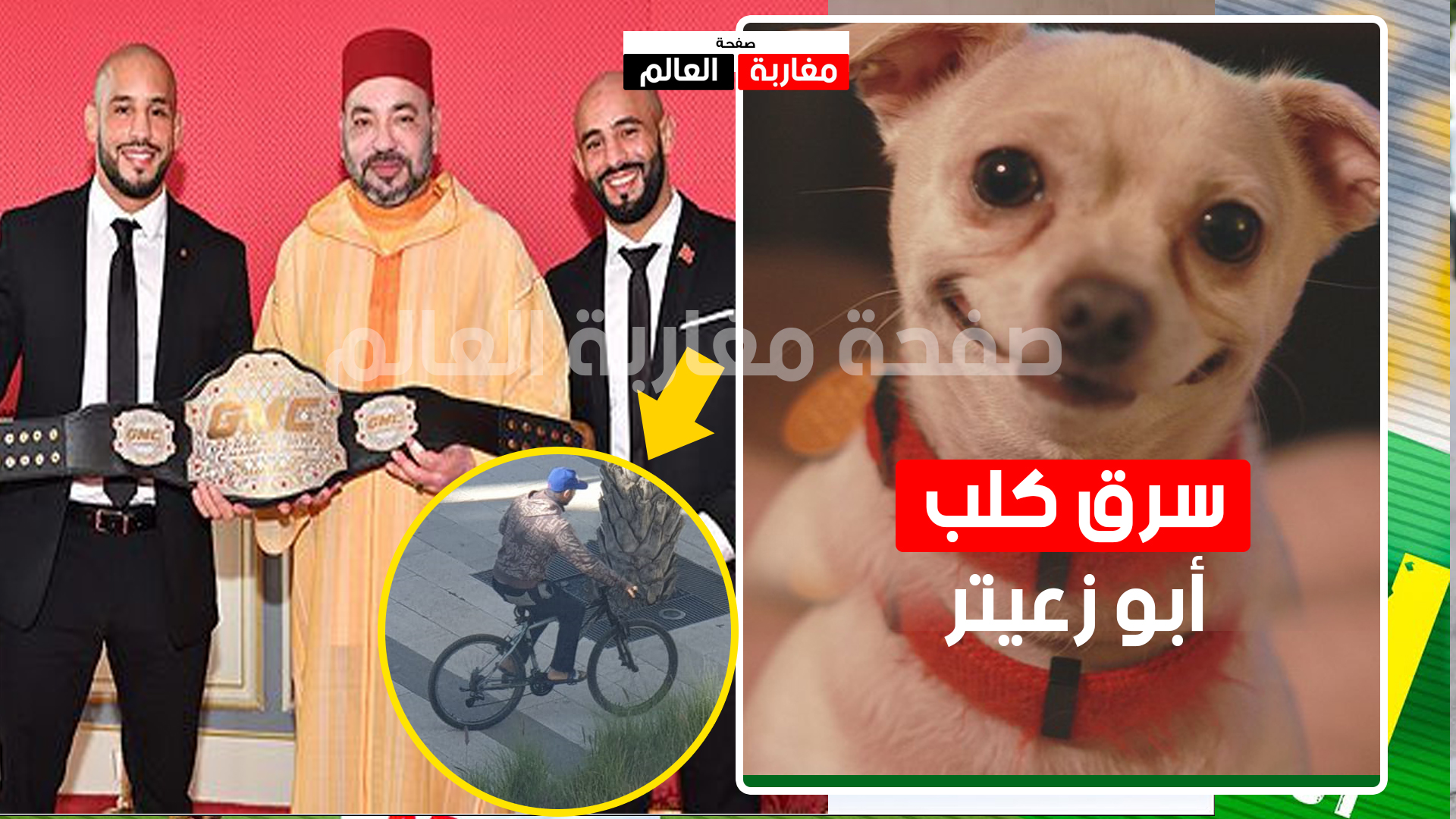 صورة أبو زعيتر يتنازل لسارق كلبه