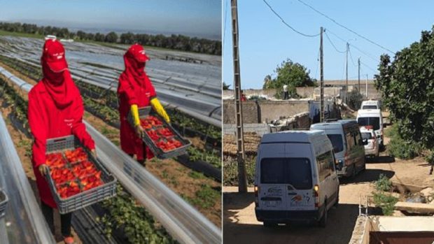 صورة 188 إصابة جديدة في أقل من 24 ساعة