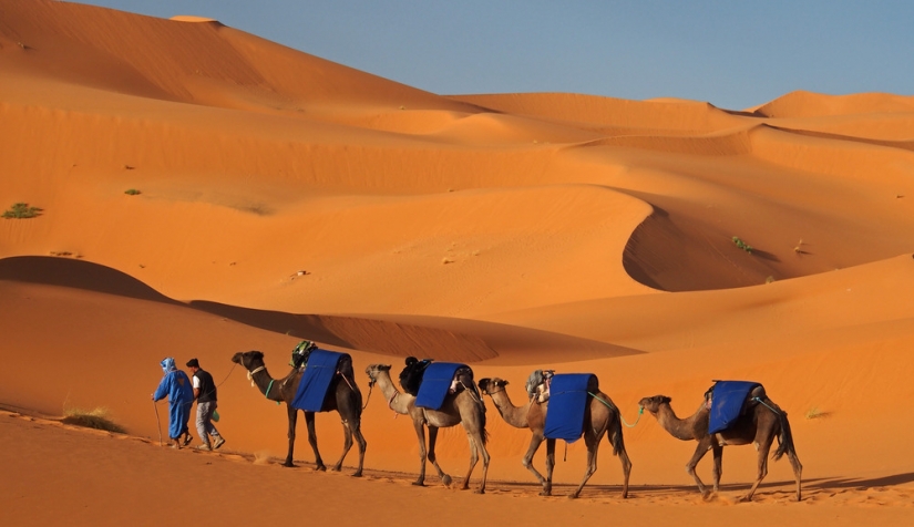 صورة المغرب يصـفع البوليساريو بدعم من 26 دولة