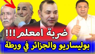 صورة ضربة امعلم: البوليساريو والجزائر في ورطة كبيرة أمام الملك محمد السادس!!!
