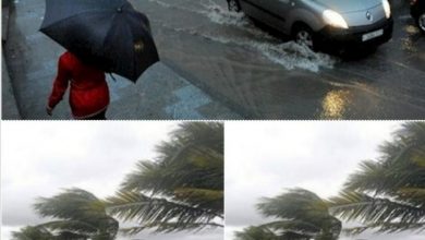 صورة وجدو راسكم..أمطار رعدية غدا بهذه المناطق