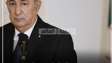 صورة بريكس تصدم تبون وترفض طلب انضمام الجزائر