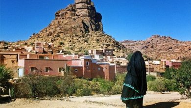 صورة المهرجان السابع لـ “أناروز” يستعد لاستقبال زواره في تافراوت