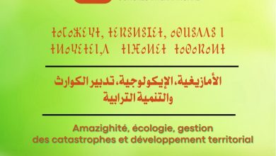 صورة تنظيم المؤتمر العلمي الدولي 18 حول الأمازيغية والإيكولوجية وتدبير الكوارث بأكادير