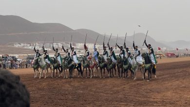 صورة مهرجان تثمين المنتوجات المجالية والتنمية السياحية … أسبوع من الانشطة المتنوعة بسيدي إفني.