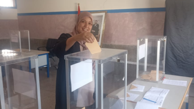 صورة انتخاب سناء الحيان عضواً بالمجلس الإداري للأكاديمية الجهوية للتربية والتكوين بجهة سوس ماسة