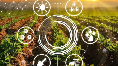 صورة أكادير تحتضن الملتقى الدولي الأول للذكاء الاصطناعي والفلاحة