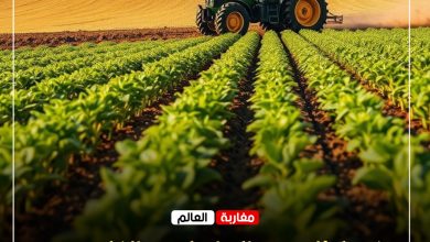 صورة في إطار تعزيز التواصل مع الفلاحين… جمعية اشتوكة للمنتجين الفلاحيين تنظم لقاءً تشاوريًا حول واقع الإنتاج الفلاحي بين تحديات الحاضر ورهانات المستقبل