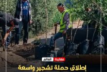 صورة إطلاق حملة تشجير واسعة لتأهيل المشهد الحضري بـفناسة باب الحيط.