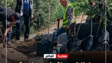 صورة إطلاق حملة تشجير واسعة لتأهيل المشهد الحضري بـفناسة باب الحيط.