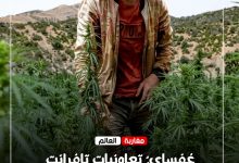 صورة غفساي: تعاونيات تافرانت تلوح بالقضاء ضد شركة فلاحية بسبب مستحقات متأخرة …