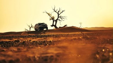 صورة رالي OLA Energyالمغرب 2026.. تنافس بين 272 مركبة و كبار نجوم العالم في صحراء المملكة المغربية