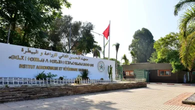 صورة ملف 28 طبيباً بيطرياً أستاذاً باحثاً عالق بوزارة الاقتصاد والمالية
