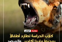 صورة كلاب الحراسة تطارد أطفالاً بمحيط مارينا أكادير.. والمرصد المغربي لحقوق الإنسان يطالب بفتح تحقيق عاجل