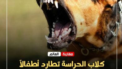 صورة كلاب الحراسة تطارد أطفالاً بمحيط مارينا أكادير.. والمرصد المغربي لحقوق الإنسان يطالب بفتح تحقيق عاجل